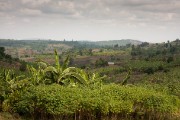 countryside : 2014 Uganda